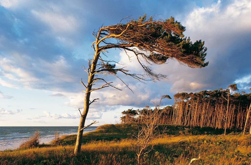 Strandhotel Duenenmeer - Adults Only Dierhagen Eksteriør billede